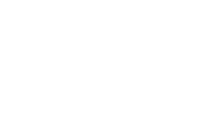 Logo Elegance Aviation